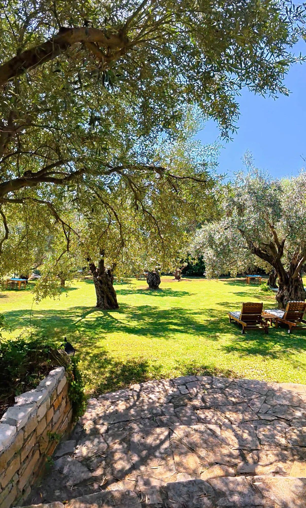 Emel Pansiyon - Güzelçamlı, Kuşadası - 3